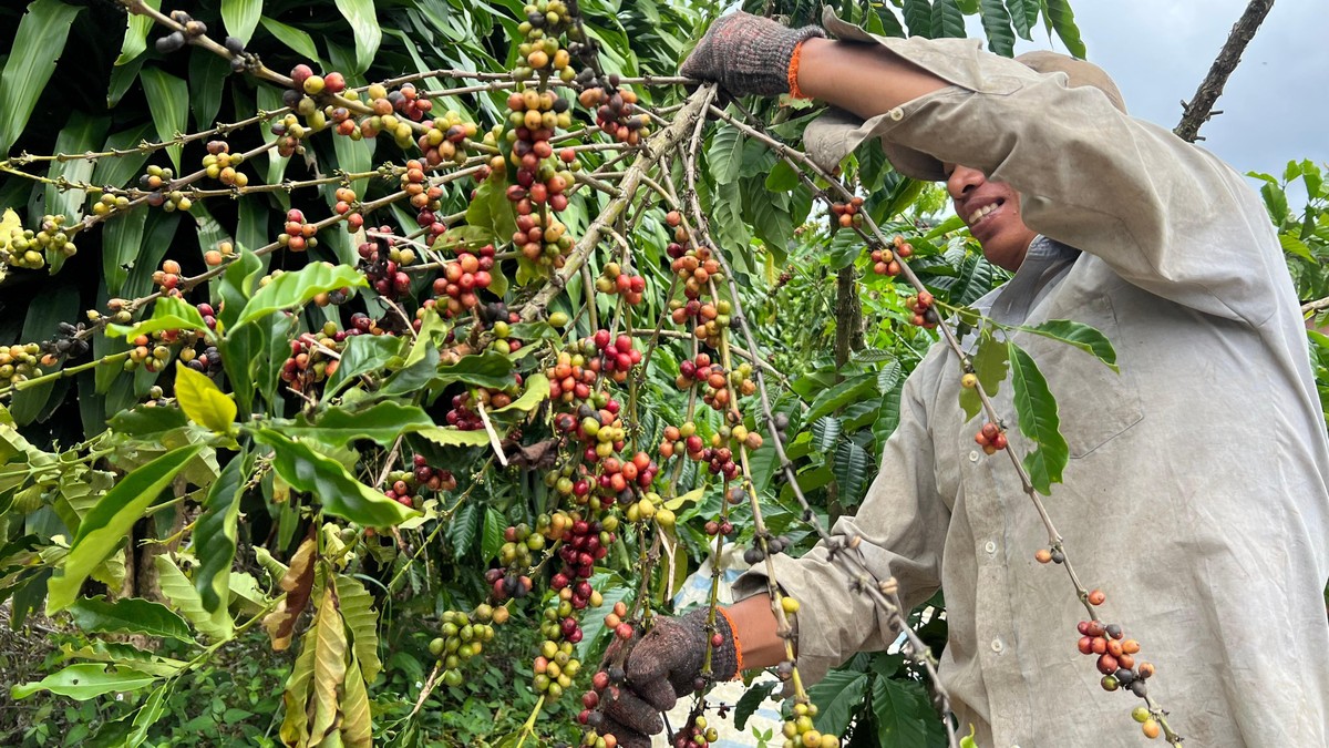 Tổng hợp tin nông nghiệp ngày 8 tháng 7 năm 2025